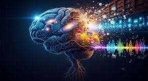 Cuánta información puede almacenar el cerebro humano