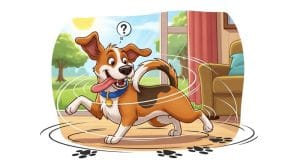 Por qué los perros persiguen su propia cola