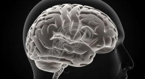 Por qué tu mente se queda en blanco