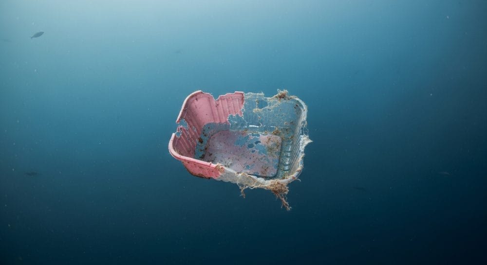 la contaminación por plásticos se triplicará en los próximos 15 años